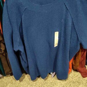 Blue Sweater 3X